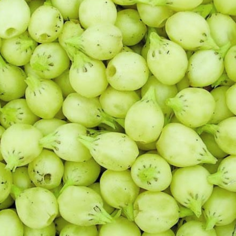 Image hover effect image