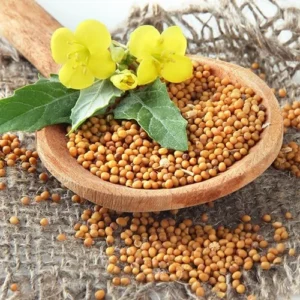 Mustard Seeds